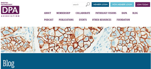 DPA blog on pathology education
