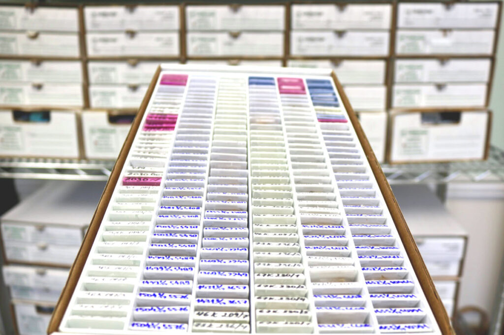 Biobank slides