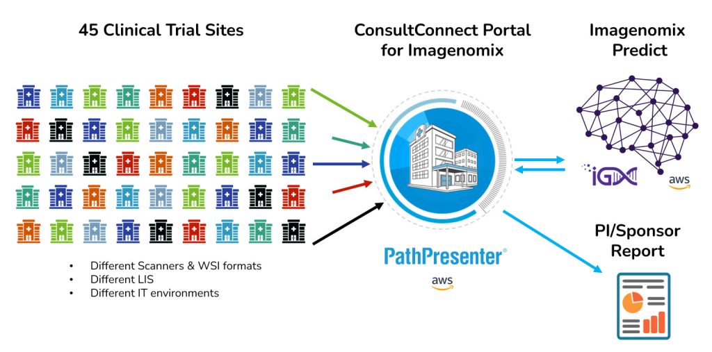 ConsultConnect Portal for Imagenomix clinical trial