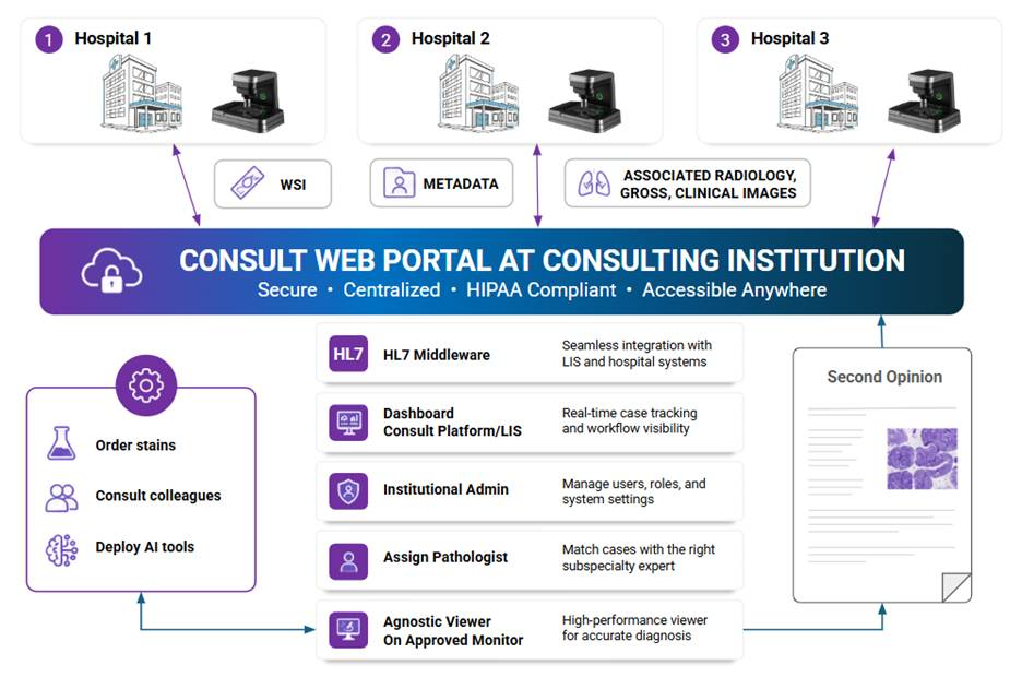 Consult web portal diagram